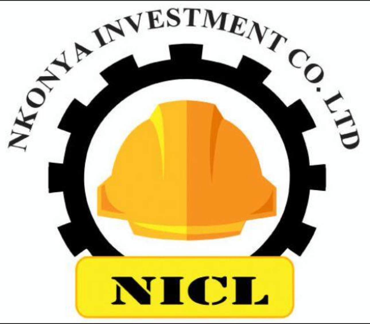 Nkonya Investment Co Ltd